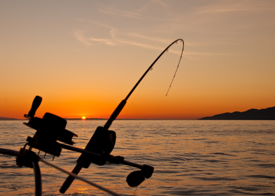 Unleash Your Business Potential with These 5 Bizz Baits